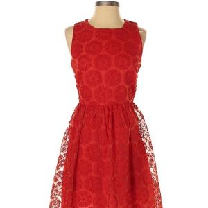 Zara Red Lace Fit & Flare Cocktail Dress-XS